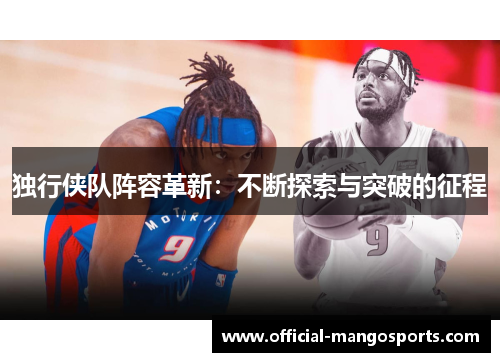 独行侠队阵容革新：不断探索与突破的征程