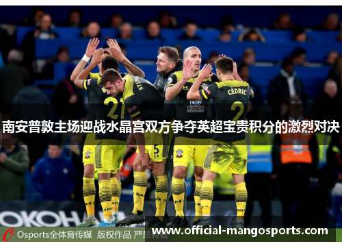 南安普敦主场迎战水晶宫双方争夺英超宝贵积分的激烈对决