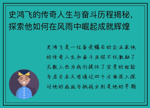 史鸿飞的传奇人生与奋斗历程揭秘，探索他如何在风雨中崛起成就辉煌